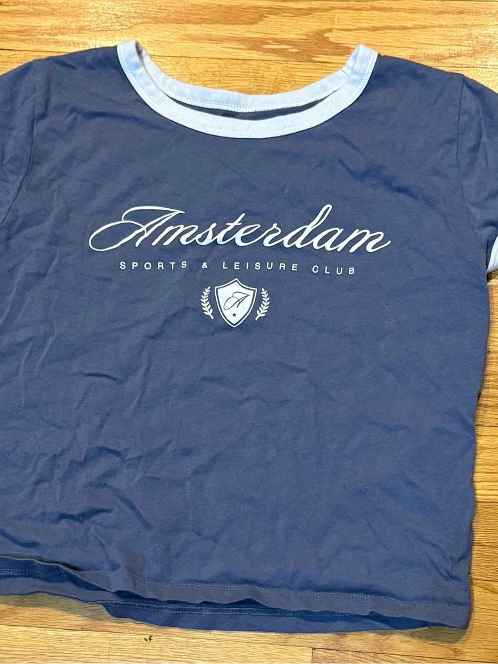 Hollister Navy & Light Blue Amsterdam Graphic Crop Top